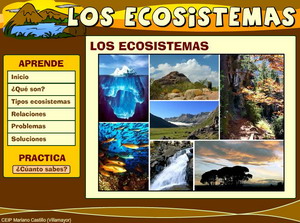 Los ecosistemas
