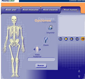Atlas anatómico interactivo